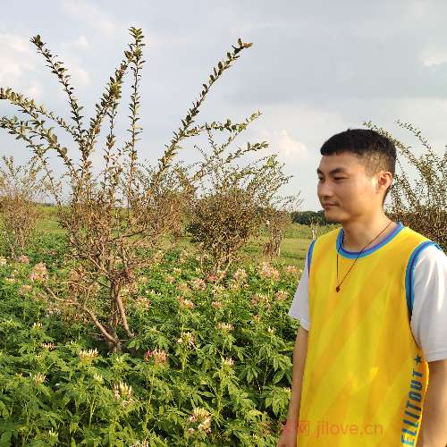 37岁岁广东单身帅哥 - 蚌埠吉缘网